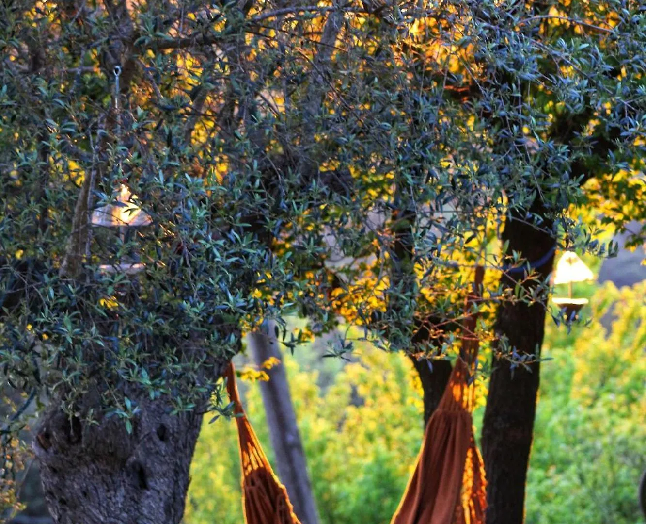 Masia Can Felip Guest House Llinars del Valles Country house